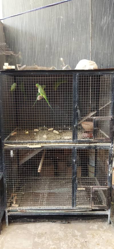 2 Portion Cage For sale