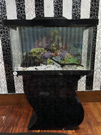 2.5 Feet Fish Aquarium