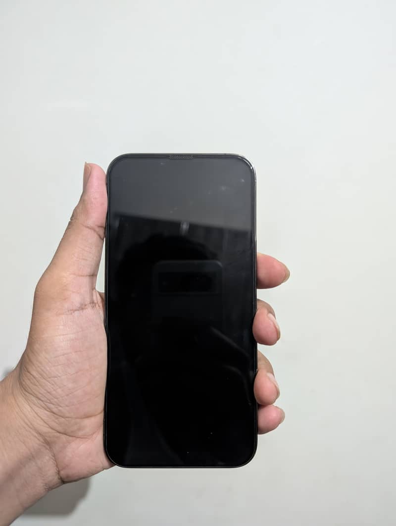 Apple iPhone 13 Pro Max 2