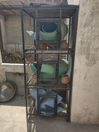 Iron n cages