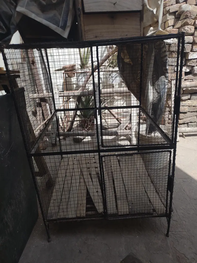 Iron n cages — photo 3
