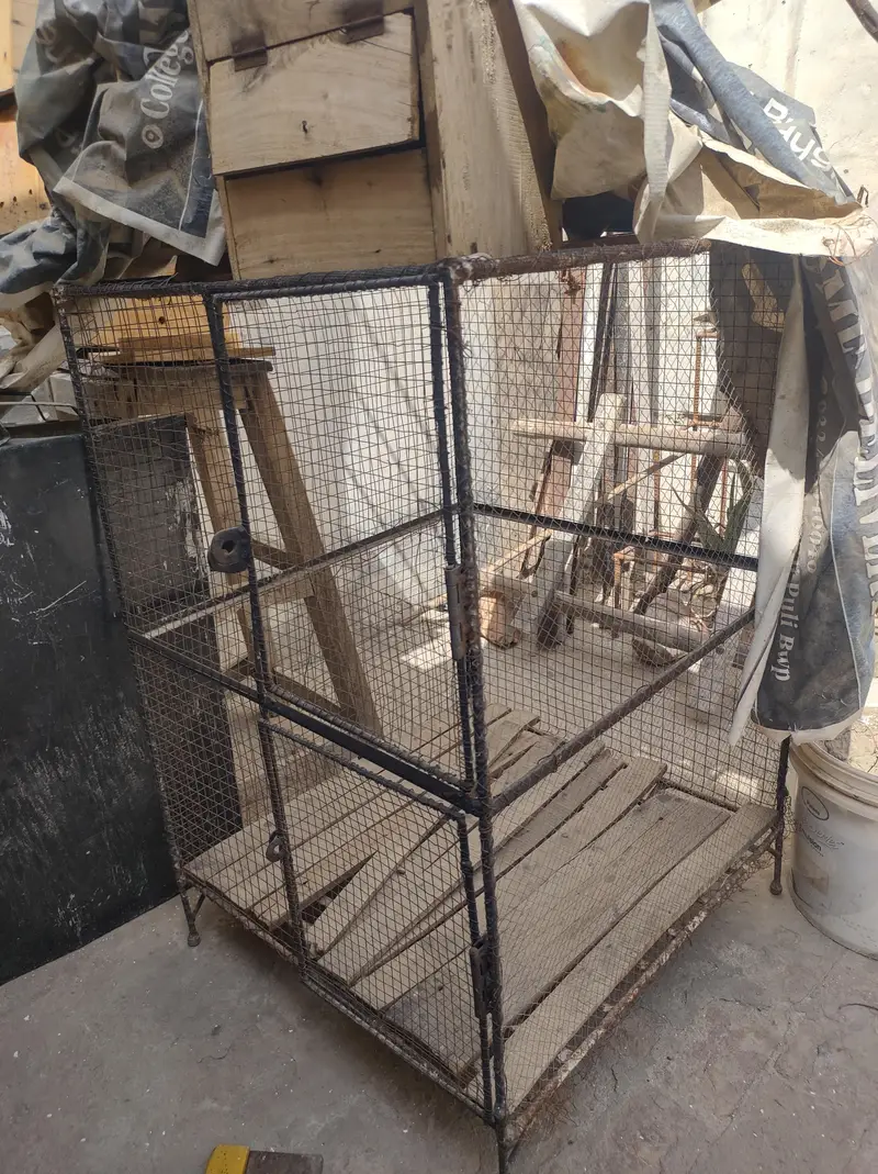 Iron n cages — photo 4