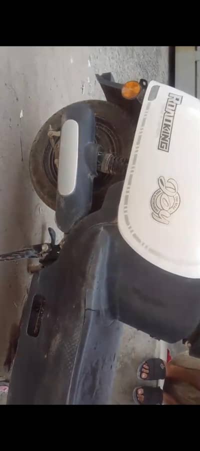 scoti road king argent sale