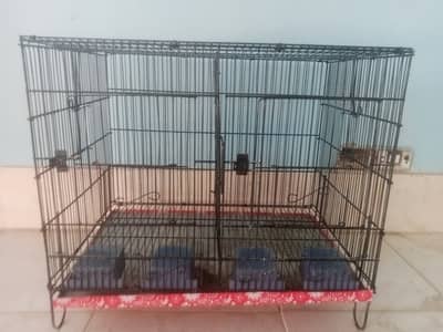 cage for hen