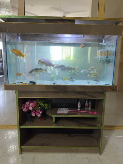 Aquarium