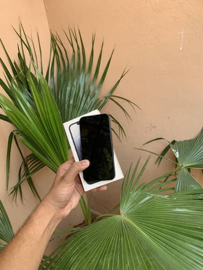 Apple iPhone 16e