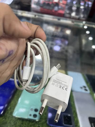 World power full charger 240V support  AC/DC