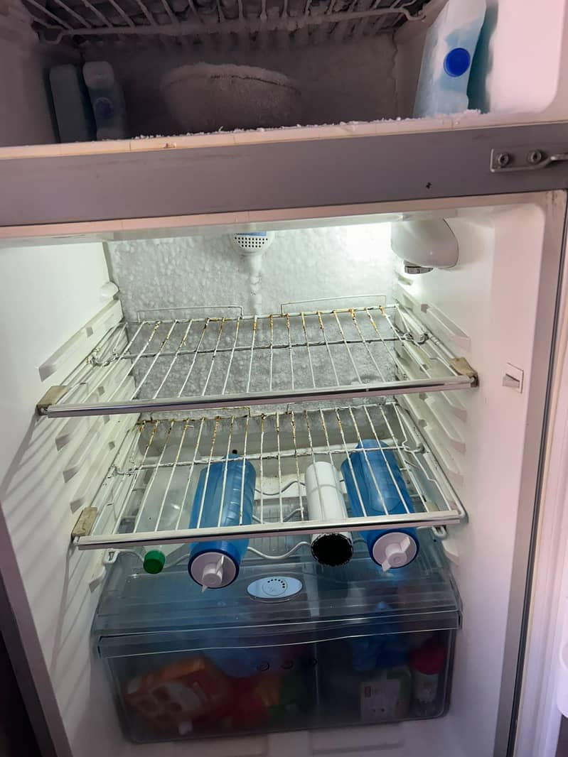 Refrigerato 1