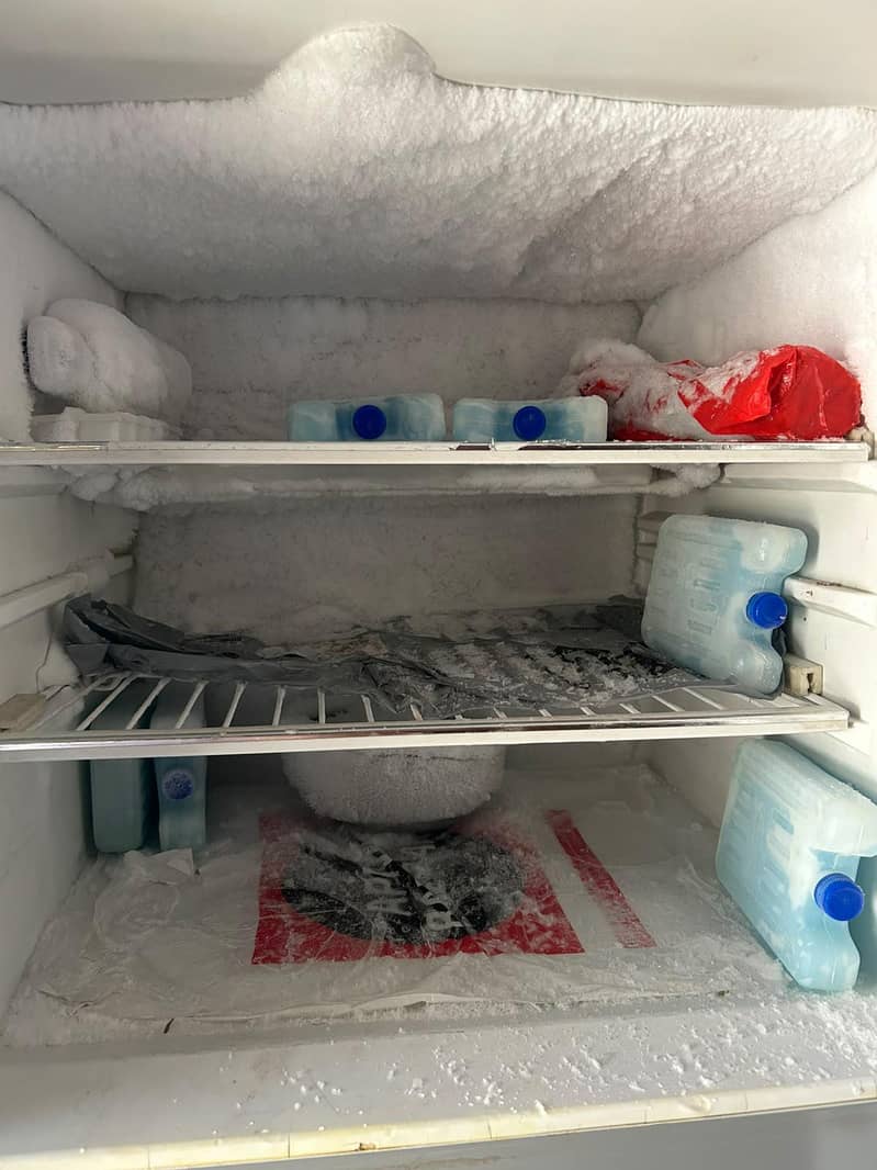 Refrigerato 3