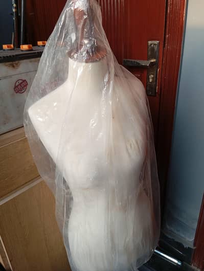 standing dummy for fashion