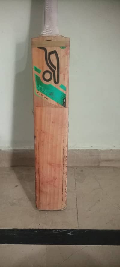 English Willow cricket bat