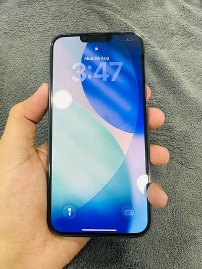 Apple iPhone 13 Pro Max