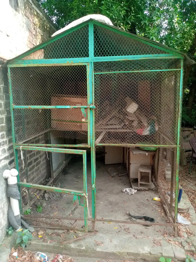animal cage — photo 2