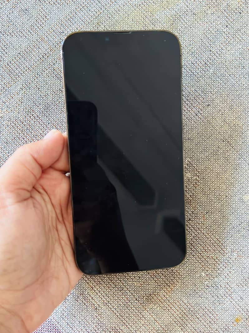 Apple iPhone 13 Pro Max 2