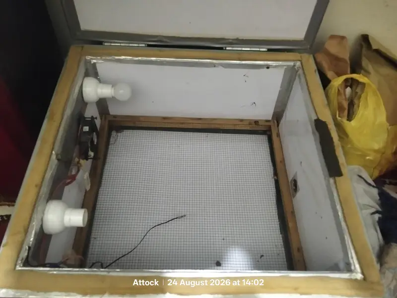incubator 60 eggs — photo 7