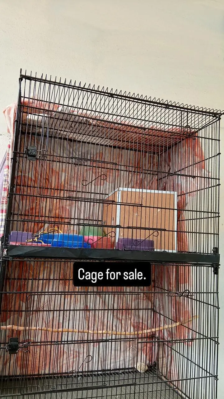 4 portion New look cage for sale — photo 2