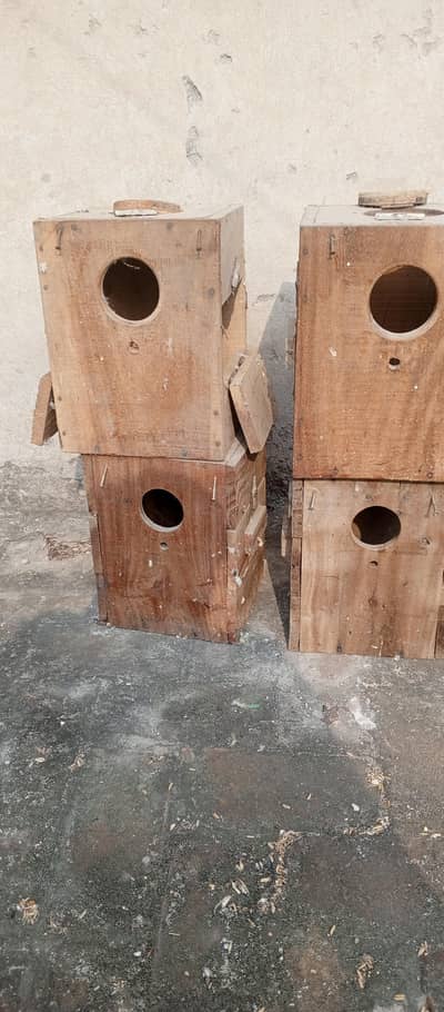 breeding box for  love birds