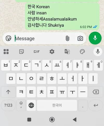 Online Korean Typist / Hangul Data Entry Operator