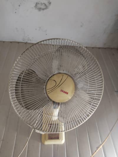 Royal fan