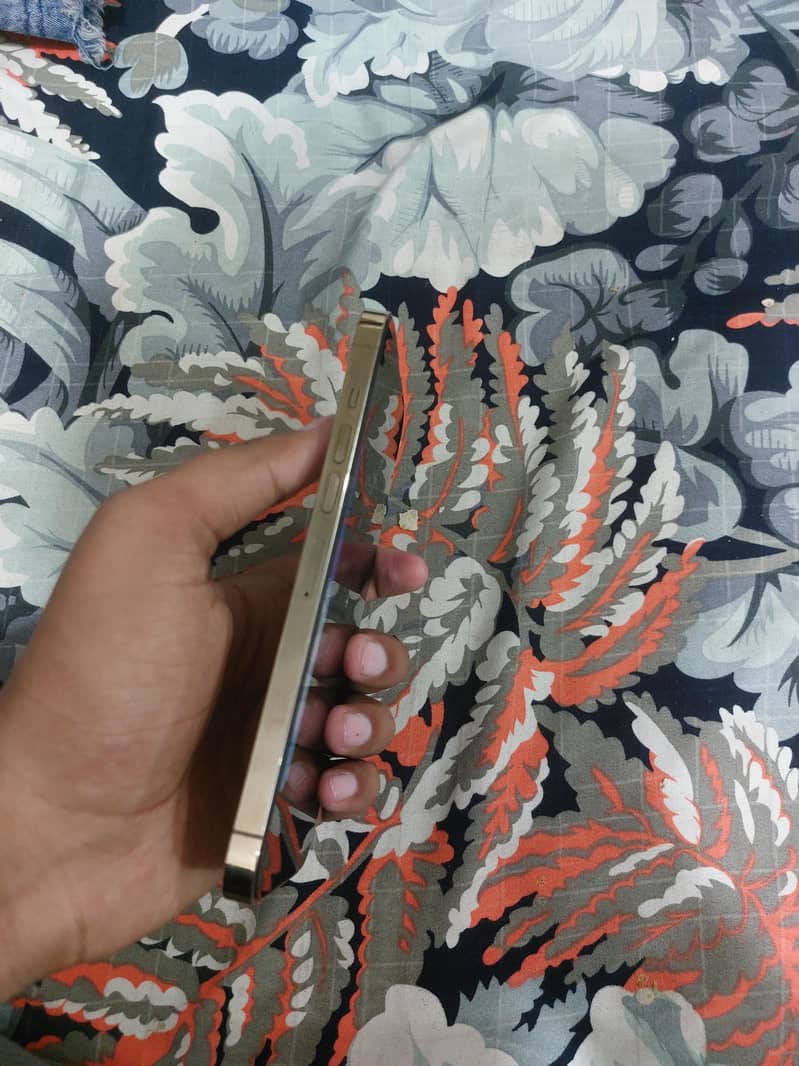Apple iPhone 13 Pro Max 3