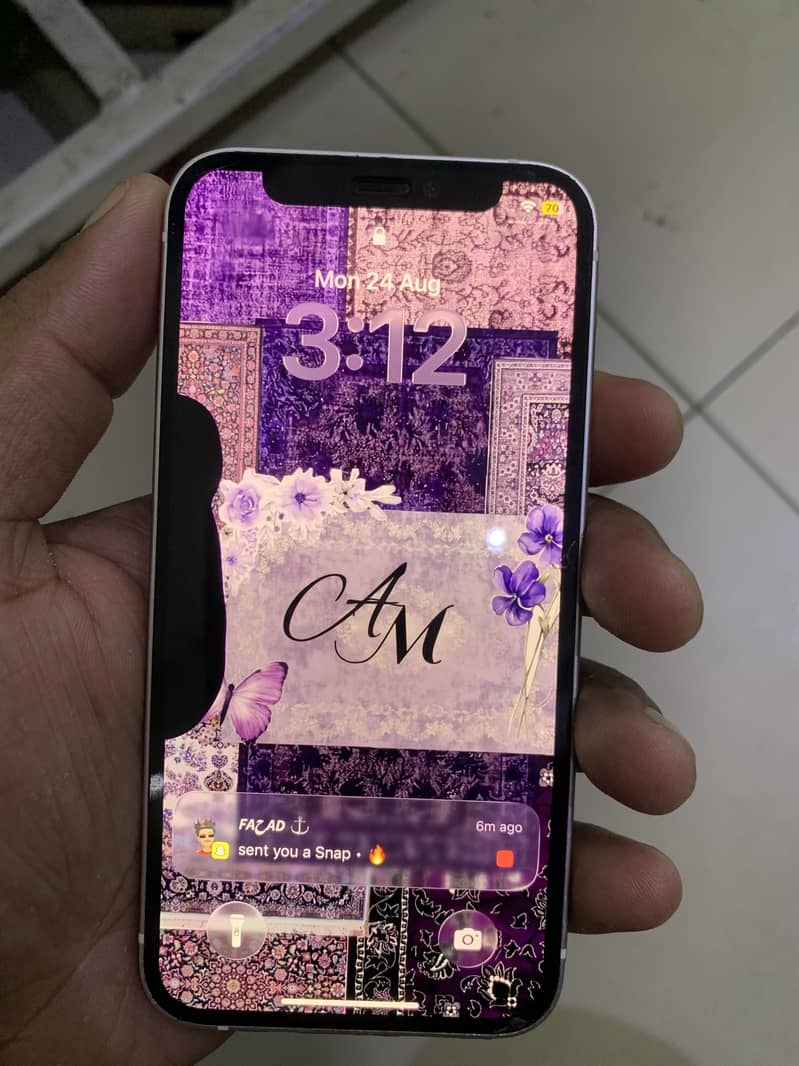 Apple iPhone 12 mini 1