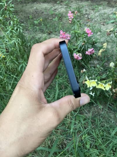 Apple iPhone 16e