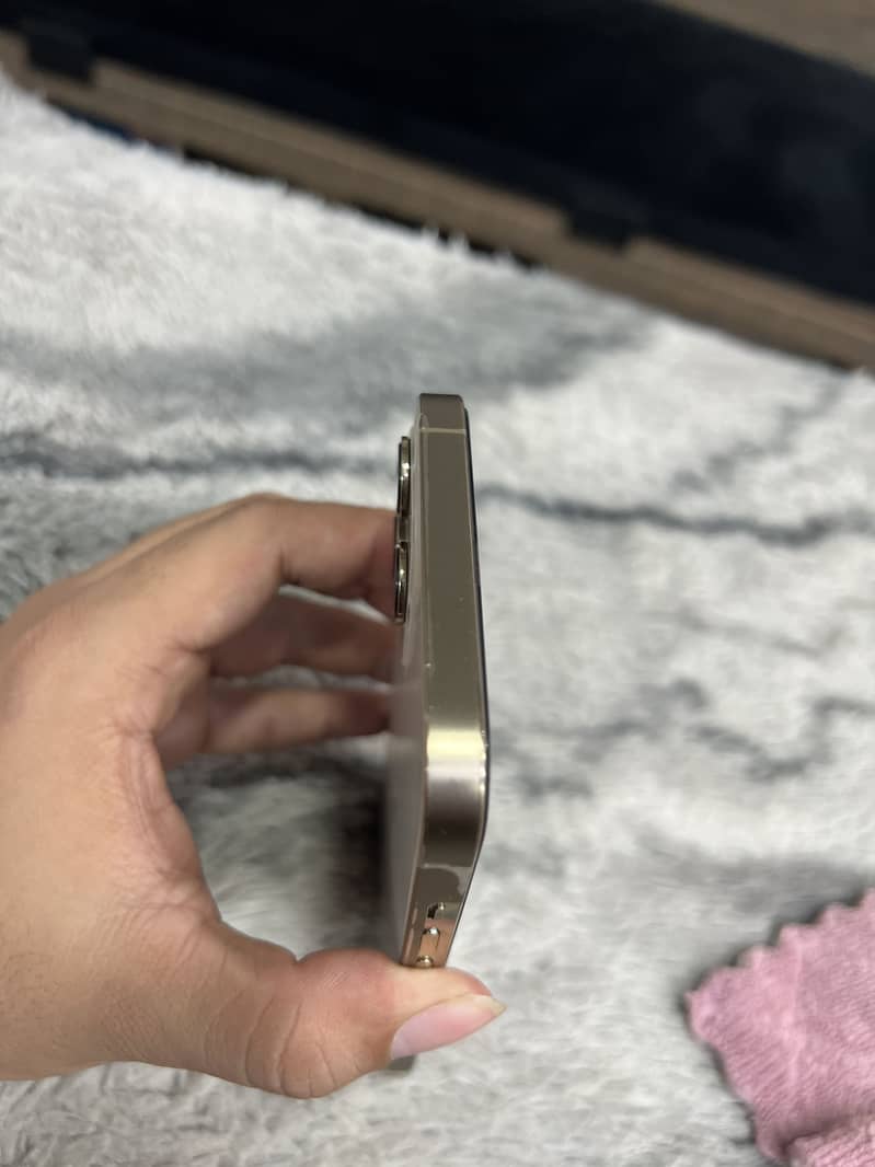 Apple iPhone 12 Pro Max 1