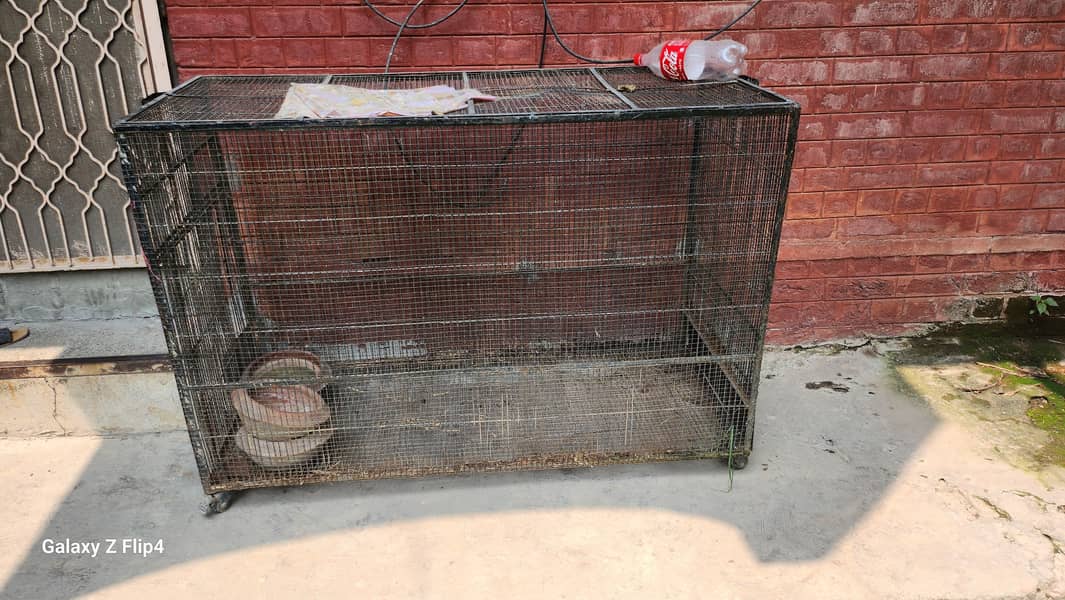 Hen cage 0
