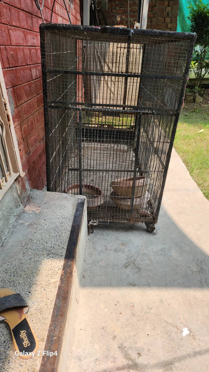 Hen cage 1