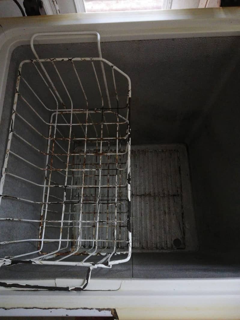 Waves Deep Fridge & Freezer 1