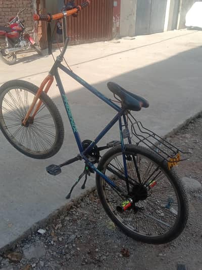 beautiful phoniex cycle