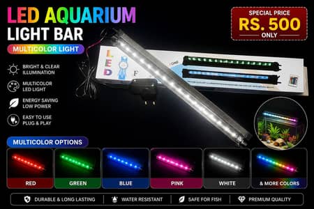 Aquarium Ornaments