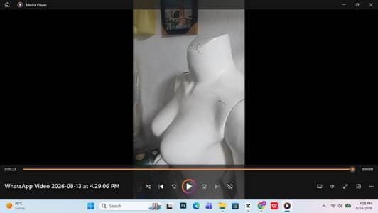 Dummy Statue Mannequin Dummy