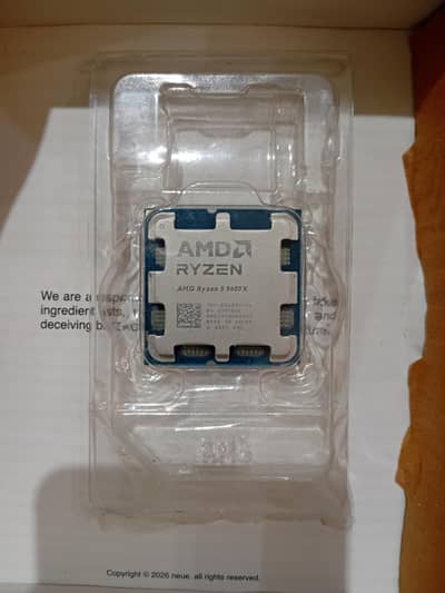 AMD RYZEN 5 9600X