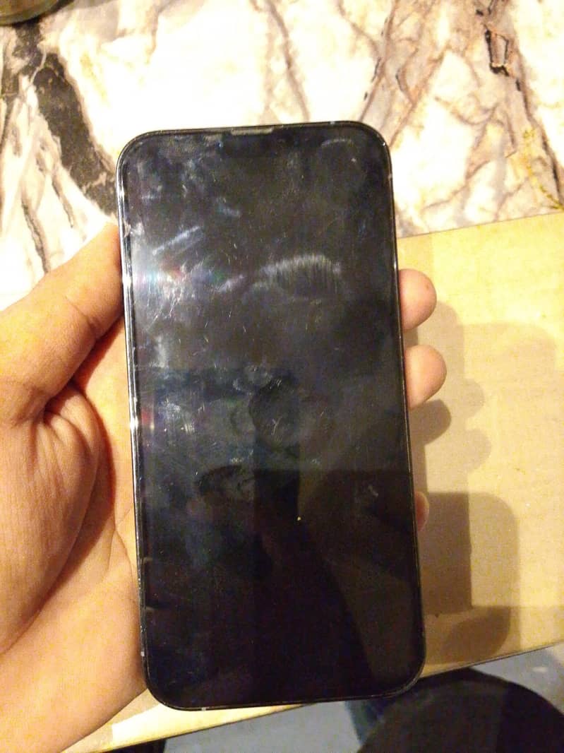 Apple iPhone 13 Pro Max 0