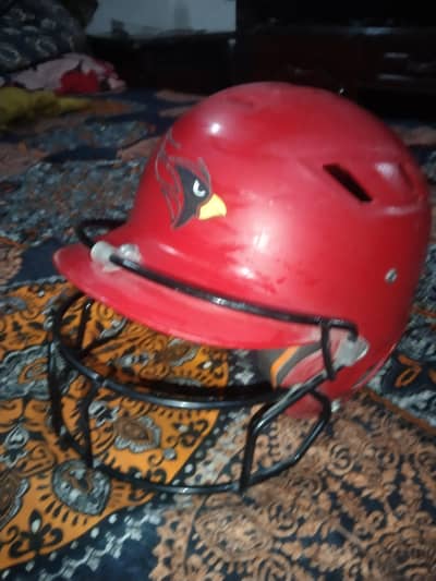 cricket helmet