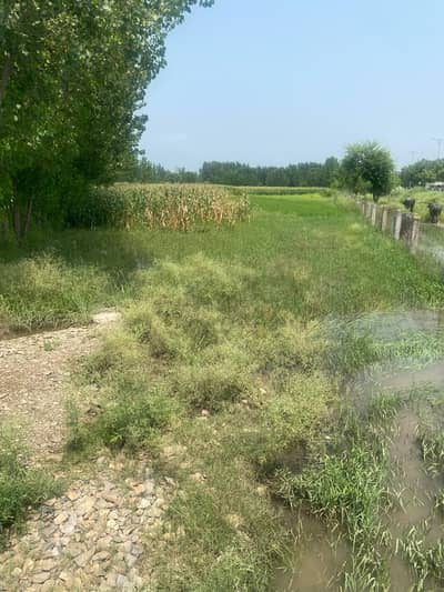 Prime Roadside Land For Sale Near Bakhshali Toll Plaza