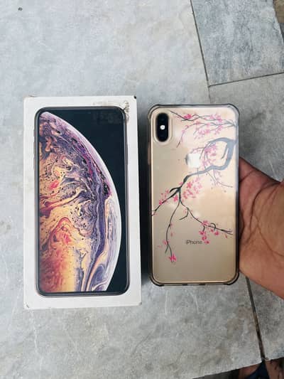 Apple iPhone XS Max Dual Pta Approved