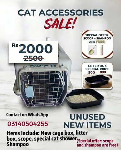 Cat Assessories for Sale with Special offer