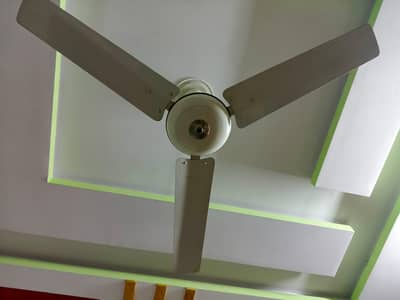 Ceiling Fan / Electric Fan in Good Working Condition