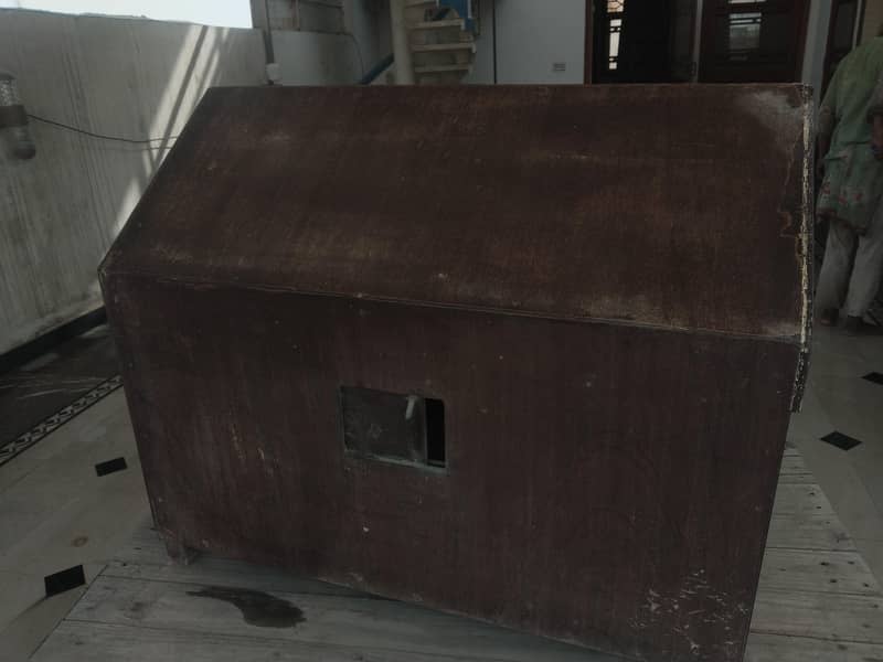 cat house 1