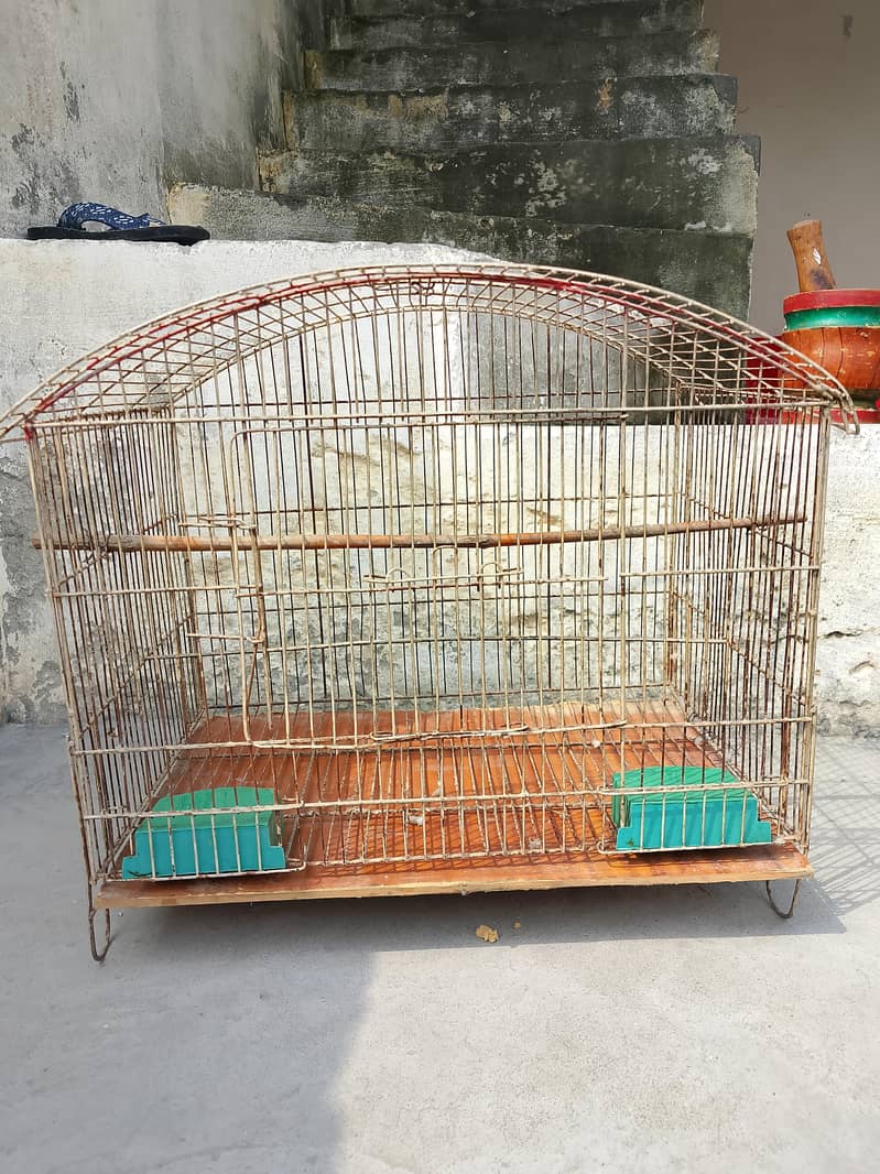 cages 1