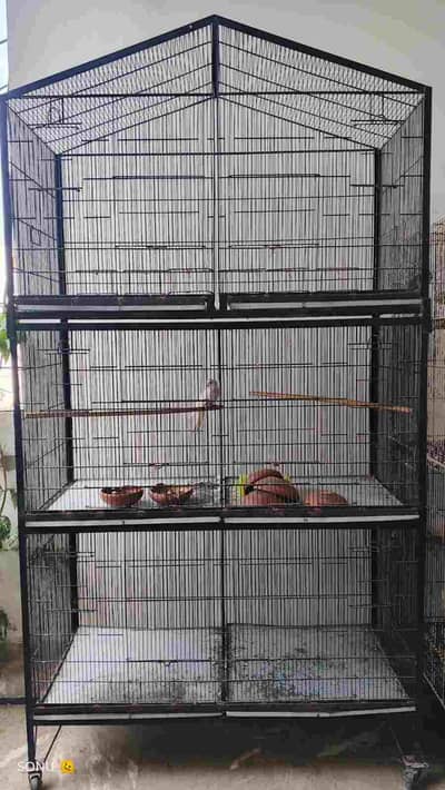 Cages