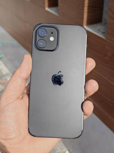 Apple iPhone 12