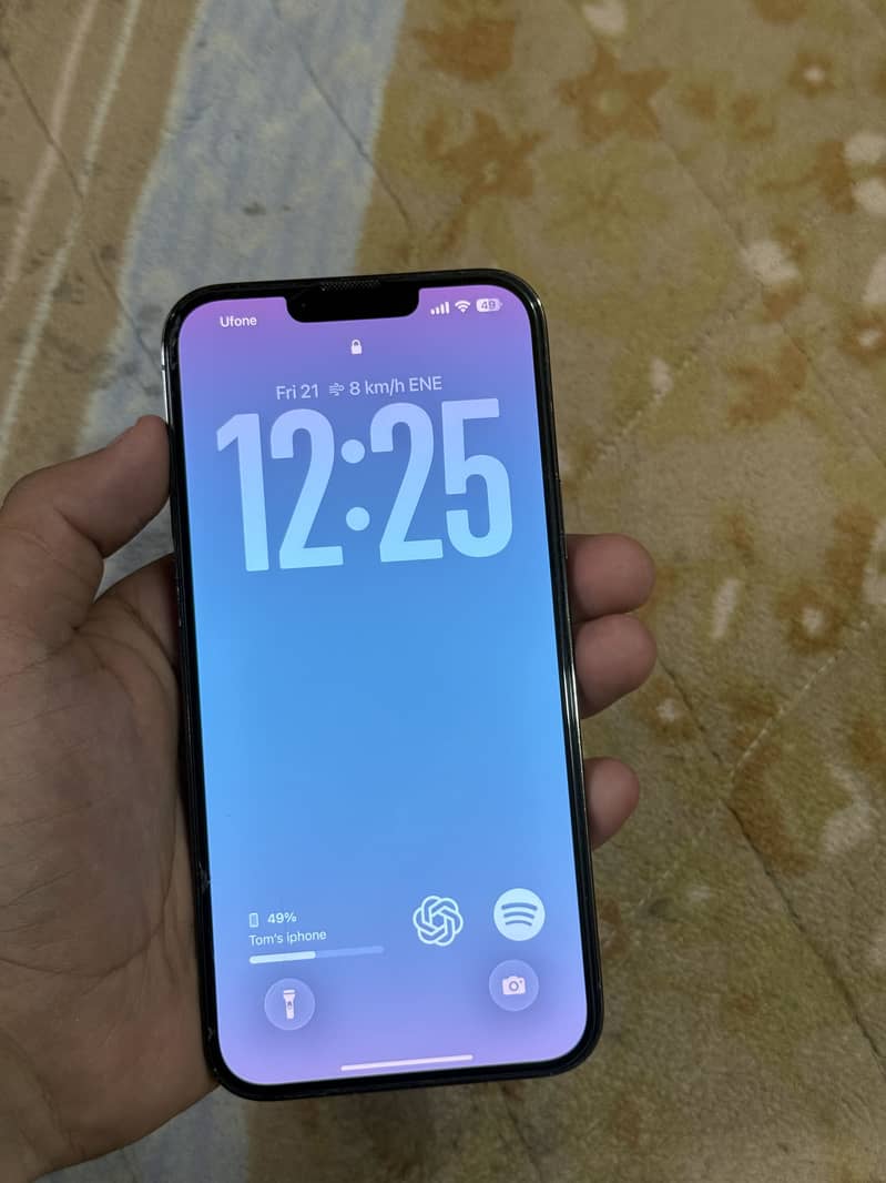 Apple iPhone 13 Pro Max 1