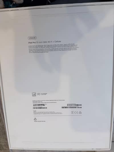 Apple iPad Pro 13-inch M4 (256GB, Wi-Fi + Cellular)