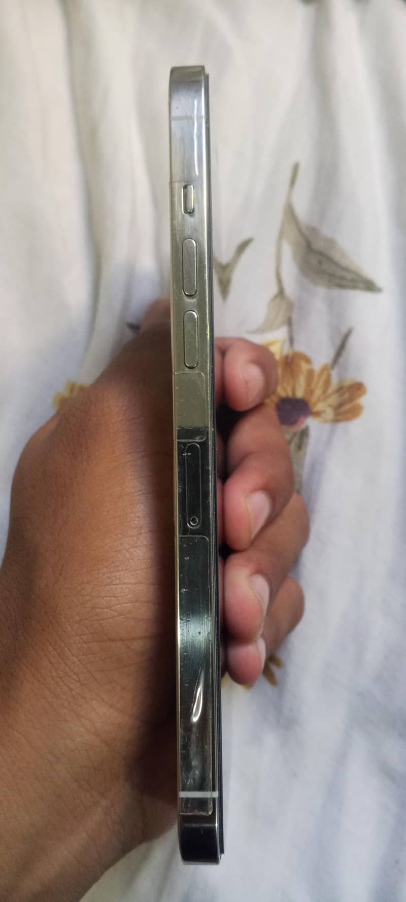 Apple iPhone 12 Pro Max 1