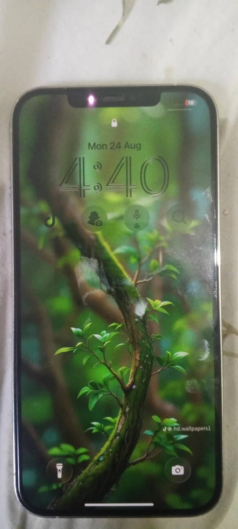 Apple iPhone 12 Pro Max 5