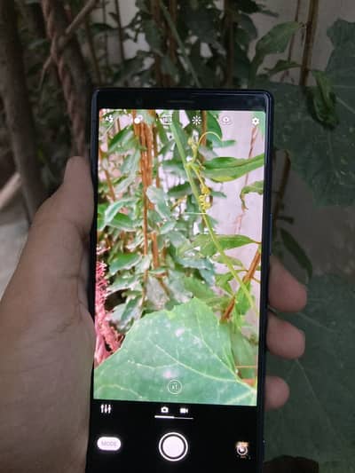 Sony 5 4gb rame  64 gb storage 10by10 non pta