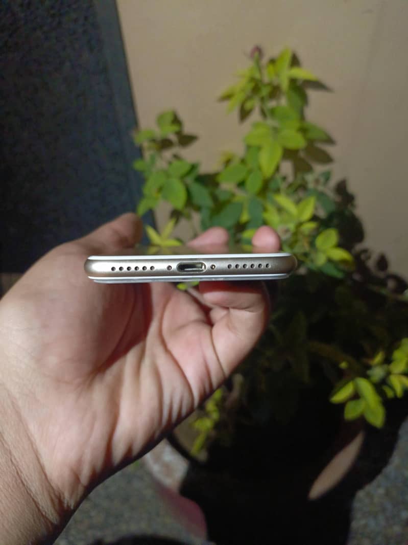 Apple iPhone 7 1